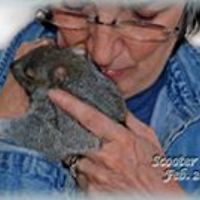 55345dcedcb0b avatar