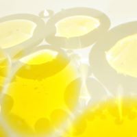 5534953192266 avatar