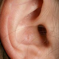 55353afbadfbc avatar