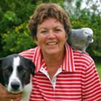 55354c10ad8e6 avatar