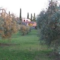 5535bc507f828 avatar