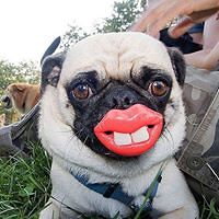 you_want_olives_with_that avatar