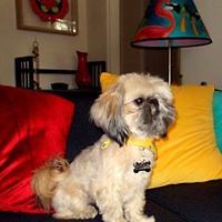 copywriter2572 avatar