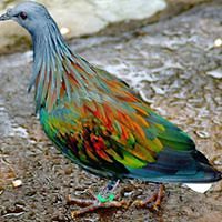 christa_bates avatar