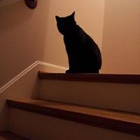 katherine_m_leonard avatar