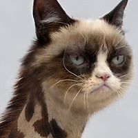 lady_platinum_moon avatar