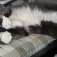 p_james_farley avatar