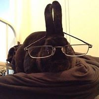 rockerchick11 avatar