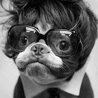 elliotbrian27 avatar