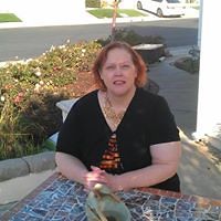 tjvankomen1961 avatar