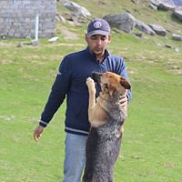 prashantsharma avatar