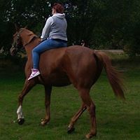 gemmalouisebrophy avatar