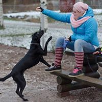 laurajohanna_ahokas avatar