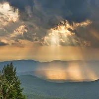 andrewmaynard avatar