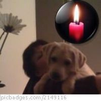 handmadesoapslices avatar