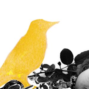 beatrizramirez avatar