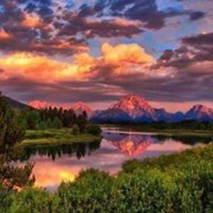 juliearichards avatar