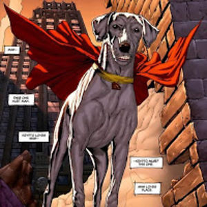 jonathanreiter avatar