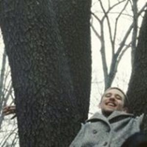 whitelightpanda avatar