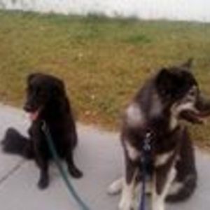 angie_theodorakis avatar