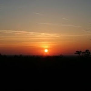 robertforslund avatar