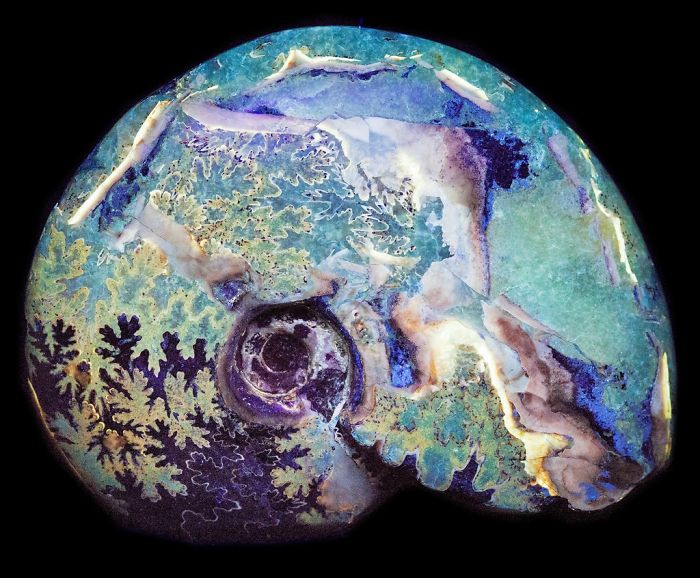 A vibrant, colorful mineral with intricate patterns resembling foliage, highlighting the beauty of minerals and stones.