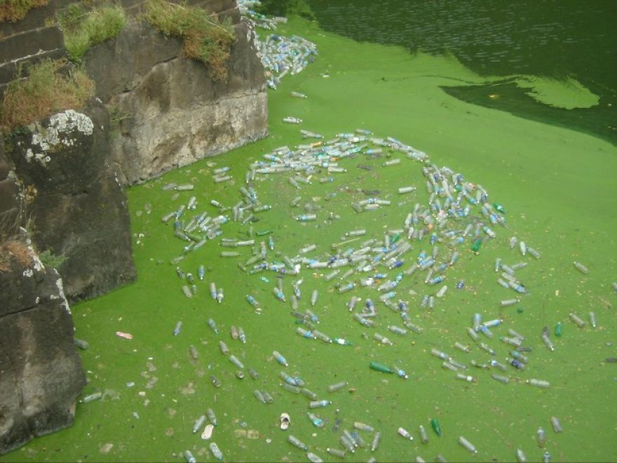 Taken At A Tourist Spot In India - 2011