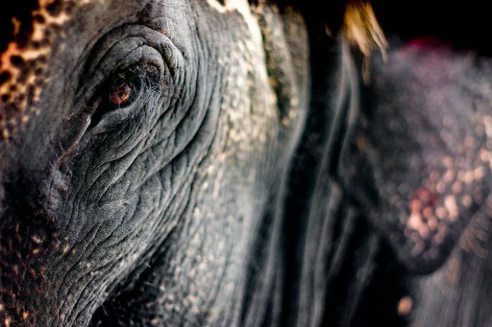 Portraits Of People In The Streets Of India And Pakistan Portraits Of People In The Streets Of India And Pakistan