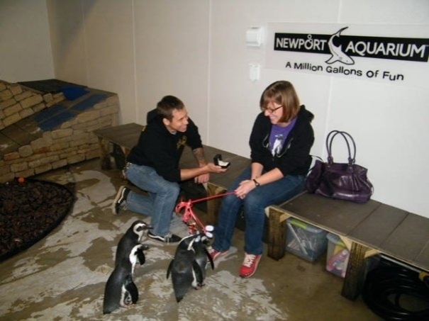 I Have Loved Penguins Since I Was In First Grade. Needless To Say This Was Perfect.