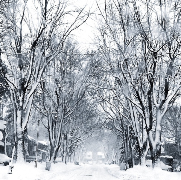 A State Of Awesomeness: My Collection Of Random Pictures From My Travels A State Of Awesomeness: My Collection Of Random Pictures From My Travels