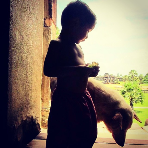 A State Of Awesomeness: My Collection Of Random Pictures From My Travels A State Of Awesomeness: My Collection Of Random Pictures From My Travels