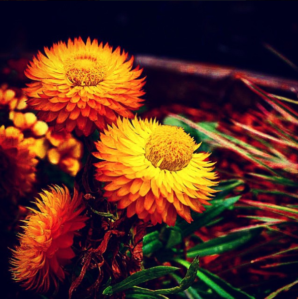 A State Of Awesomeness: My Collection Of Random Pictures From My Travels A State Of Awesomeness: My Collection Of Random Pictures From My Travels