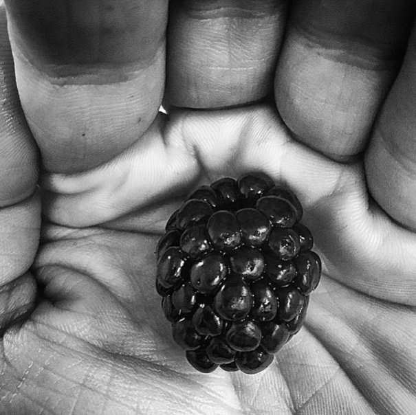 A State Of Awesomeness: My Collection Of Random Pictures From My Travels A State Of Awesomeness: My Collection Of Random Pictures From My Travels