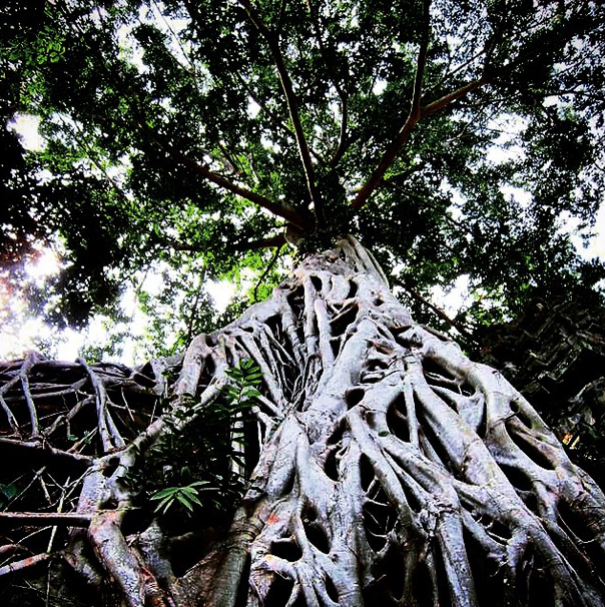 A State Of Awesomeness: My Collection Of Random Pictures From My Travels A State Of Awesomeness: My Collection Of Random Pictures From My Travels