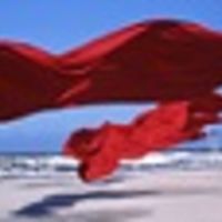 helena_trentor avatar