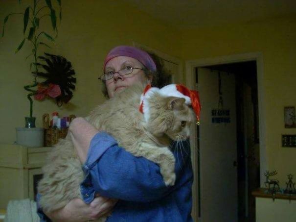 This Is B.b. (bugs Bunny Fluff Bunny)