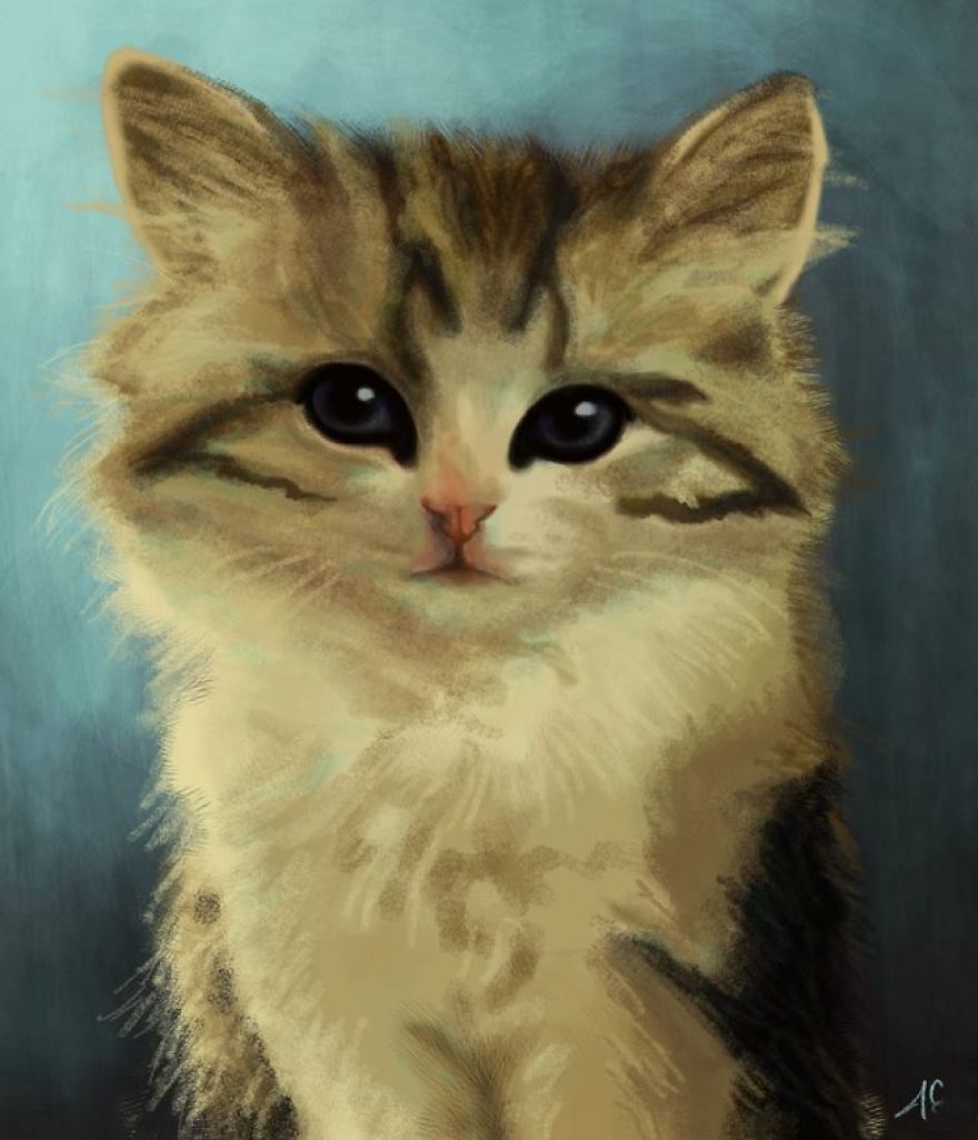 I Completed A Series Of Beautiful Cat Digital Drawings