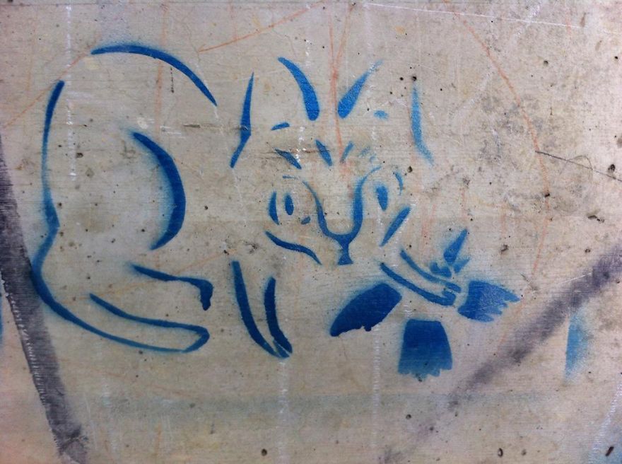 Cats Are Killing Birds And Are Subventionized Hunters