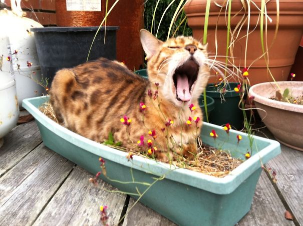 Worrying About The Drought Is Exhausting.