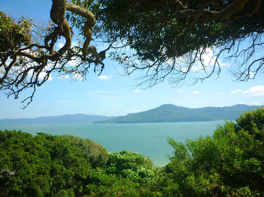 Best Seascapes Views From Florianópolis, Brazil
