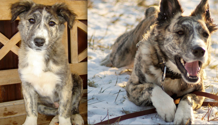 From The Streets Of Greece Into German Snow.