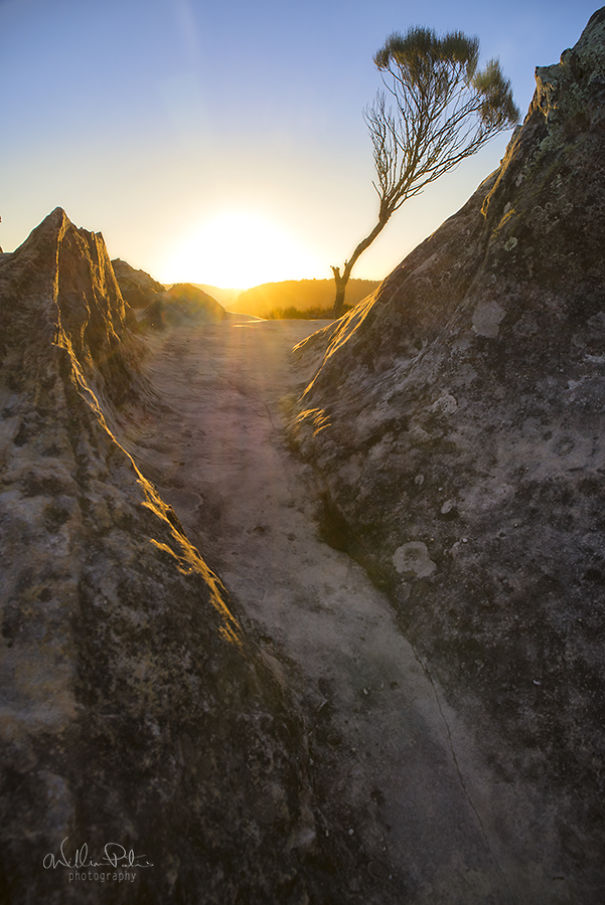 It's Ok To Stand Alone: I Take Pictures Of Lone Trees