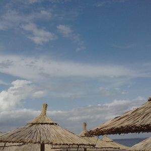 dijana_sarcevic_7 avatar