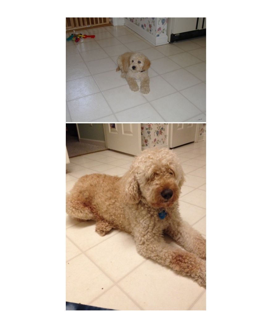 Casey In 2007 And 2014. :)