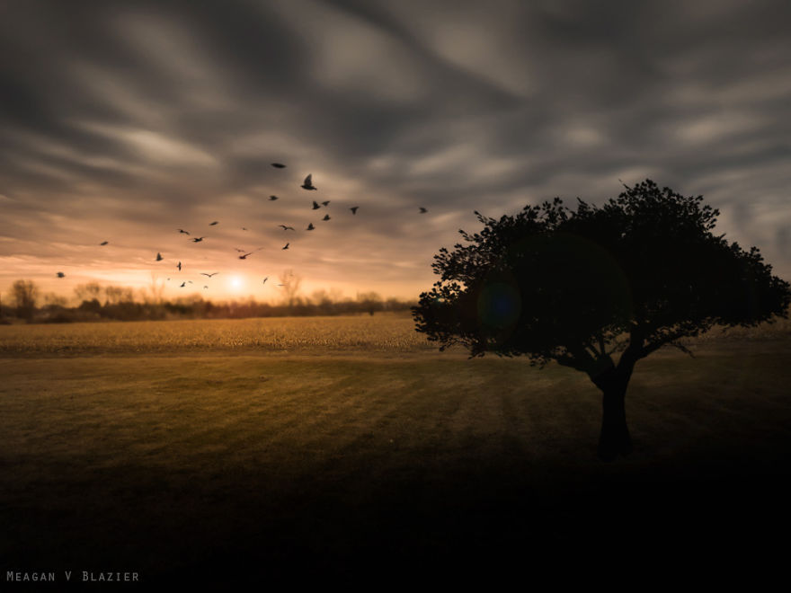 Cheap Camera, Amazing Art: Single Mom Uses Old Canon PowerShot To Take Stunning Photos Cheap Camera, Amazing Art: Single Mom Uses Old Canon PowerShot To Take Stunning Photos