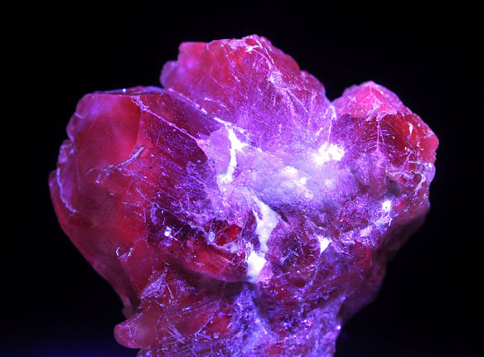A vibrant red mineral glowing under ultraviolet light, showcasing intricate crystal patterns.