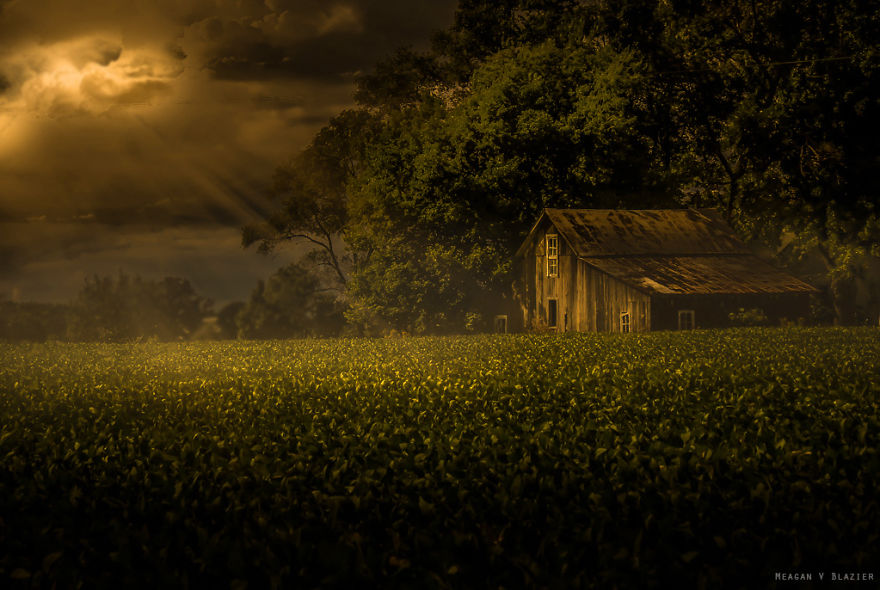 Cheap Camera, Amazing Art: Single Mom Uses Old Canon PowerShot To Take Stunning Photos Cheap Camera, Amazing Art: Single Mom Uses Old Canon PowerShot To Take Stunning Photos