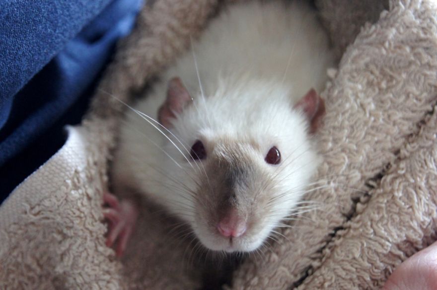 Crystal - What's Happening?