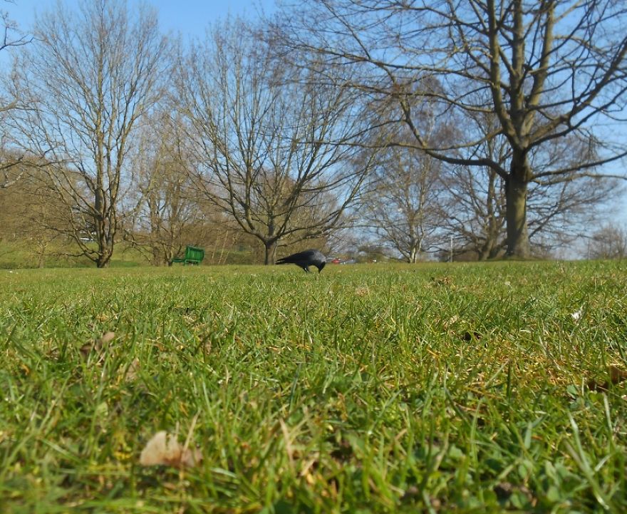 It Was An Ordinary Day Until They Arrived...