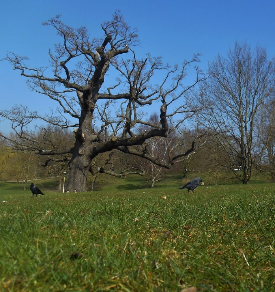 It Was An Ordinary Day Until They Arrived...